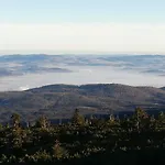Zdrojowy