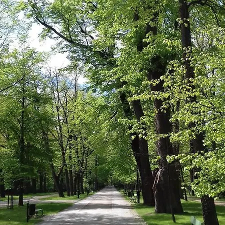 Zdrojowy * Jelenia Gora