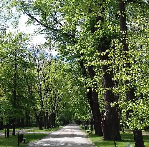 Zdrojowy * Jelenia Góra