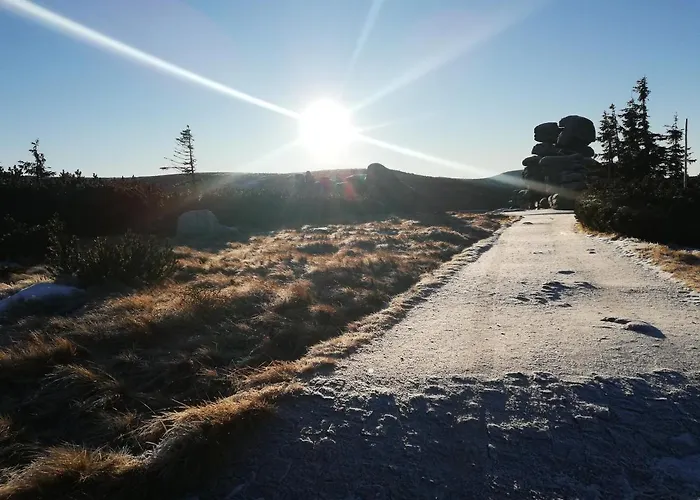 Zdrojowy Apartment *