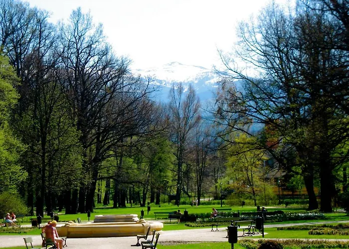 Zdrojowy Jelenia Góra